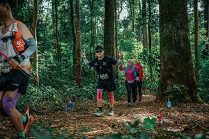 BIB: 
                            <button type="button" onclick="openModal(26135551)" class="btn btn-primary btn-sm float-right btn-popup" data-toggle="modal" data-target=".modal-high-quality">
                        <i class="fas fa-shopping-cart"></i> Add to Cart
                    </button>
                                            <button type="button" onclick="isThisMe(26135551, true)" class="btn btn-success btn-sm float-right btn-popup btn-isme hidden" data-toggle="tooltip" data-placement="bottom" title="นี่คือรูปของคุณใช่ไหม คลิกที่นี่เพื่อเอาเข้าอัลบั้ม">
                        <i class="fas fa-plus"></i> Add to album
                    </button>
                    <button type="button" onclick="isThisMe(26135551, false)" class="btn btn-warning btn-sm float-right btn-popup btn-isnotme hidden">
                        <i class="fas fa-ban"></i> Remove from album
                    </button>